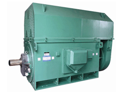 保山Y系列6KV高压电机